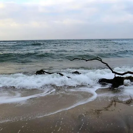 Prerower Seekiste Comfortable